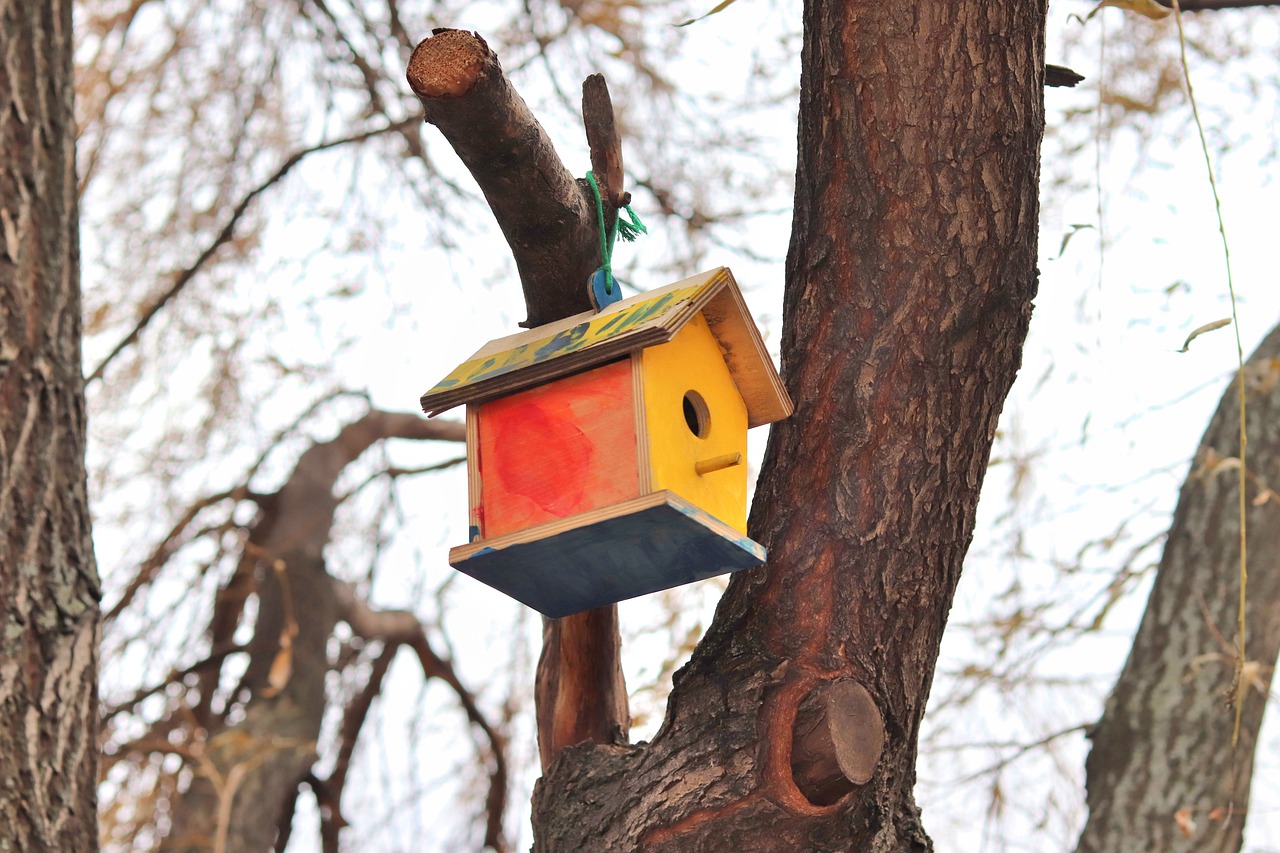 Woodworking Basics: Building Your First Birdhouse